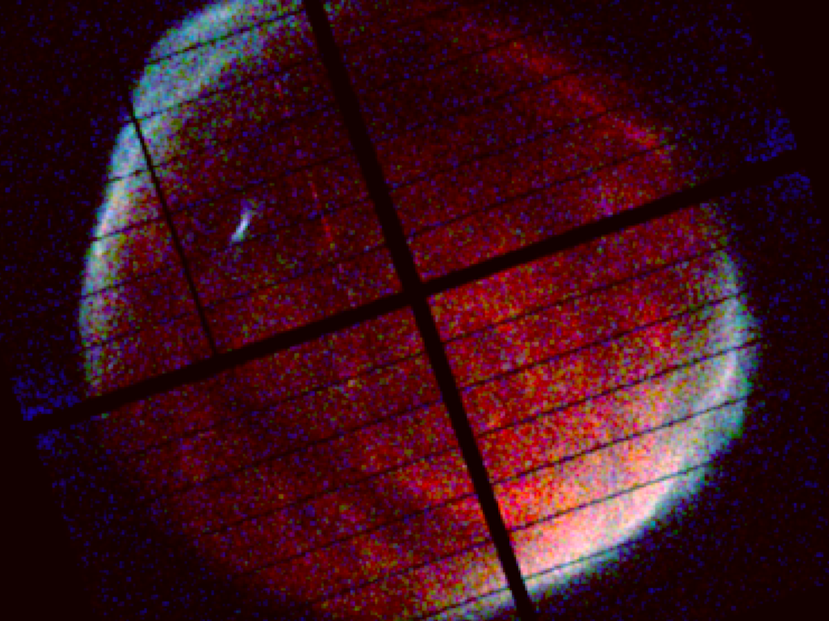 SN1006 with Xtend/XRISM